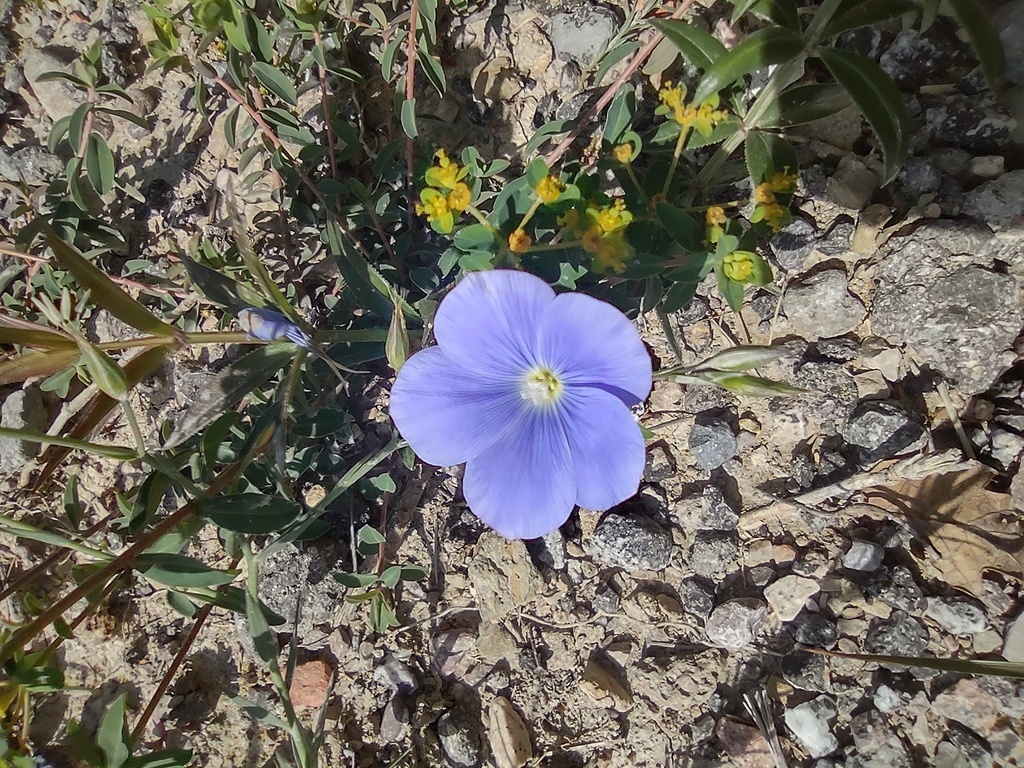 No s'ha trobat l'arxiu